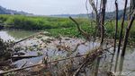 Potret Waduk Bendungan Leuwikeris di Ciamis yang Diselimuti Eceng Gondok