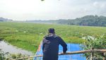 Potret Waduk Bendungan Leuwikeris di Ciamis yang Diselimuti Eceng Gondok