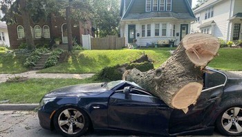 Satu detik lengah, satu mobil hancur. Pohon tumbang menghantam atap, meninggalkan kerusakan yang bikin pemiliknya cuma bisa pasrah. Foto: Boredpanda