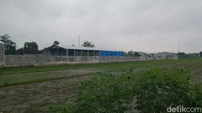 Lokasi gudang di kampung tepi sawah di Desa Pandanan, Kecamatan Wonosari, Klaten.