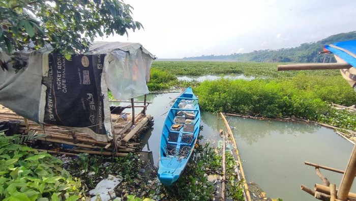 Kondisi waduk Bendungan Leuwikeris di Ciamis yang kini menghijau jadi Lautan Eceng Gondok.