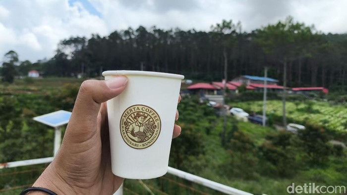 Kopi Karangsari Kuningan