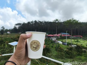 Menyesap Autentisitas Kopi Arabika di Perbukitan Kuningan