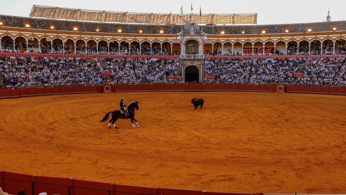 Lea Vicens, a French rejoneadora (mounted bullfighter) poses for a portrait before a bullfight at the Maestranza bullring in Seville, Spain, April 19, 2026. Lea Vicens is a biology graduate and horse lover who moved from her native France to Andalusia, in Spain, to become one of the most successful mounted bullfighters, taking part in the most prestigious bullfights. REUTERS/Marcelo del Pozo