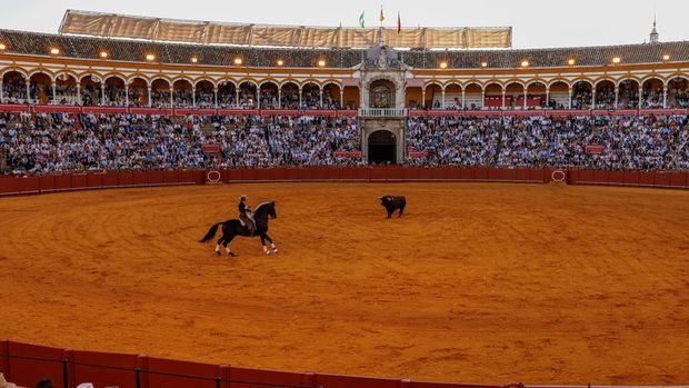 Lea Vicens, a French rejoneadora (mounted bullfighter) poses for a portrait before a bullfight at the Maestranza bullring in Seville, Spain, April 19, 2026. Lea Vicens is a biology graduate and horse lover who moved from her native France to Andalusia, in Spain, to become one of the most successful mounted bullfighters, taking part in the most prestigious bullfights. REUTERS/Marcelo del Pozo