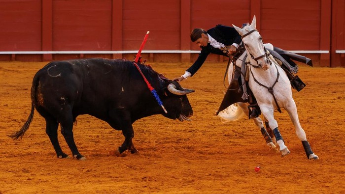Lea Vicens, a French rejoneadora (mounted bullfighter) poses for a portrait before a bullfight at the Maestranza bullring in Seville, Spain, April 19, 2026. Lea Vicens is a biology graduate and horse lover who moved from her native France to Andalusia, in Spain, to become one of the most successful mounted bullfighters, taking part in the most prestigious bullfights. REUTERS/Marcelo del Pozo