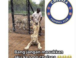 Meme Pedas! Chelsea Tumbang 5 Kali Beruntun, Dibantai Brighton Tanpa Balas