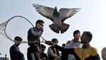 Merpati dan Tradisi Ratusan Tahun yang Bertahan di New Delhi