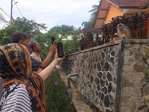 Dua Hewan yang Bikin Resah Warga Ciamis di Pagi Hari
