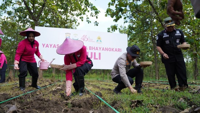 Perkuat ketahanan pangan, Polres Bojonegoro sulap lahan hutan jadi kebun jagung.