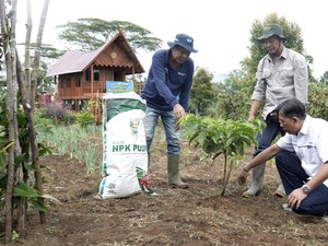 Kopi Tebat Benawa Pusri Tumbuhkan Asa Petani Gunung Dempo