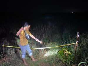 Petani Blora Tewas Kesetrum Jebakan Tikus di Sawah