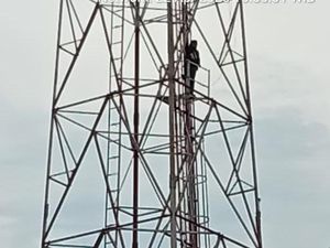 Pria Diputus Pacar hingga Panjat Tower Trauma, Ditangani Dinsos Sidoarjo