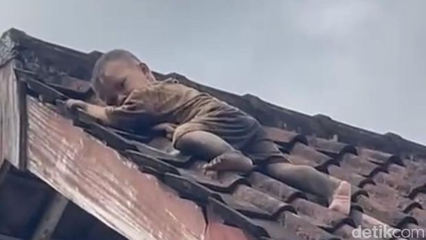 Video bocah memanjat genteng rumah viral di media sosial (medos). Video bocah memanjat genteng rumah viral di media sosial (medos).