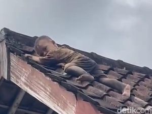 Balita di Lombok Merayap ke Genteng, Momen Evakuasinya Menegangkan