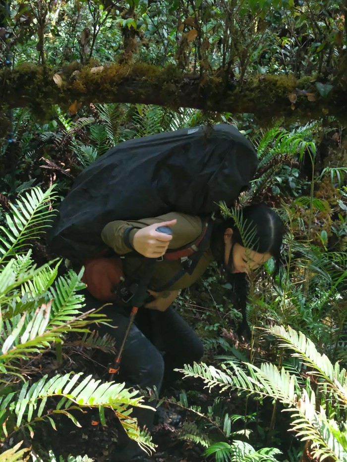 Cerita Wendy Walters mendaki Gunung Leuser.