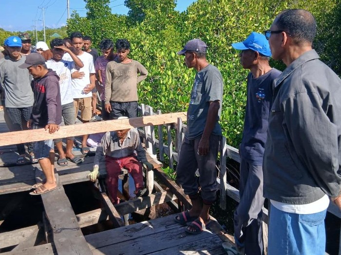 Anggota DPR RI Fraksi Partai Gerindra, Alimuddin Kolatlena, membantu memperbaiki jembatan rusak di Pulau Osi, Kabupaten Seram Bagian Barat, Maluku.