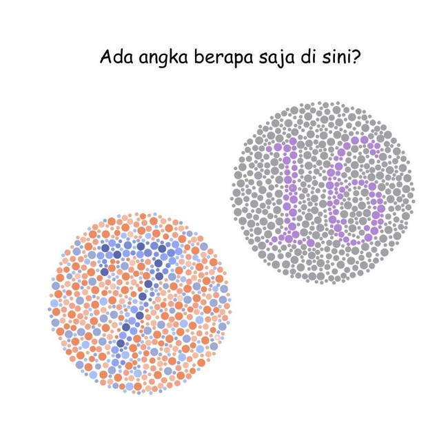 Ketajaman Mata Diuji di Permainan Ini, Kalau Tak Buta Warna Harusnya Mudah