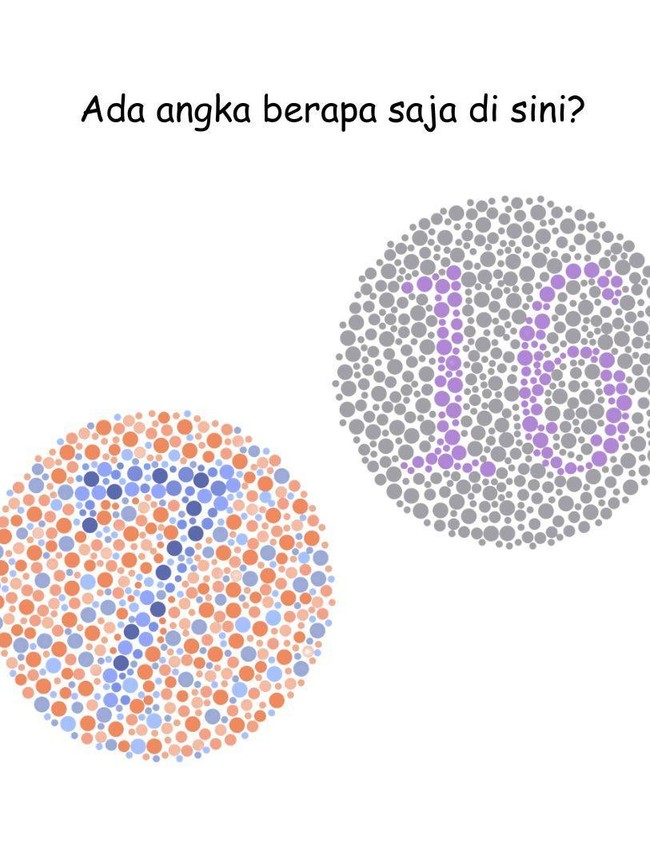Ketajaman Mata Diuji di Permainan Ini, Kalau Tak Buta Warna Harusnya Mudah