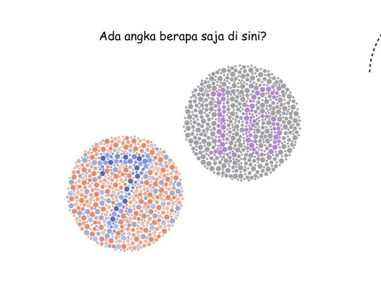 Ketajaman Mata Diuji di Permainan Ini, Kalau Tak Buta Warna Harusnya Mudah
