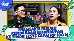 Video: Transaksi Ribuan Kendaraan Selundupan ke Timor Leste Capai Rp 100 M