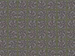 Ilusi Optik Ini Bikin Otak Tertipu, Sains di Baliknya Terungkap