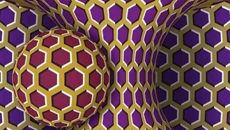 Ilusi Optik Ini Bikin Otak Tertipu, Sains di Baliknya Terungkap
