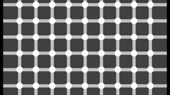 Ilusi Kisi Hermann menampilkan bintik abu-abu di persimpangan garis putih yang hilang saat dilihat langsung. Efek ini terjadi karena inhibisi lateral pada retina. Neuron di area terang menekan sekitarnya lebih kuat di persimpangan, menciptakan ilusi bintik gelap. Untuk melihatnya jelas, gunakan penglihatan tepi. Mekanisme ini juga membantu otak mendeteksi kontras dalam kehidupan nyata. Foto: Boredpanda