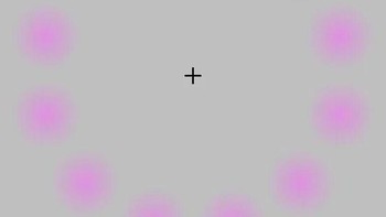 Ilusi Lilac Chaser membuat titik ungu menghilang dan muncul titik hijau yang seolah bergerak melingkar. Efek ini berasal dari adaptasi saraf dan afterimage. Saat fokus di tengah, neuron “lelah” sehingga titik memudar, sementara bayangan hijau muncul. Mekanisme ini menunjukkan bagaimana otak mengabaikan rangsangan tetap dan terus menyesuaikan persepsi. Foto: Boredpanda