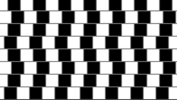 Ilusi Dinding Kafe membuat garis horizontal tampak miring akibat pola ubin terang-gelap yang bergeser. Efek ini dipicu kontras luminansi dan pergeseran kontur. Neuron tepi “menggeser” persepsi keselarasan secara lokal. Untuk melihatnya jelas, lihat pola secara keseluruhan, bukan satu garis. Mekanisme ini membantu deteksi tepi, tapi bisa mendistorsi pola sehari-hari. Foto: Boredpanda