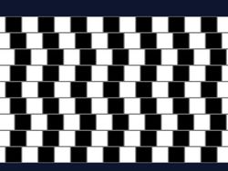 Ilusi Optik Ini Bikin Otak Tertipu, Sains di Baliknya Terungkap