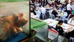 Jalan Alor Kuala Lumpur, Surga Kuliner Malam yang Selalu Ramai