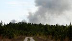 Kebakaran Hutan Georgia Meluas, Ribuan Hektare Terbakar