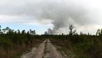 Kebakaran Hutan Georgia Meluas, Ribuan Hektare Terbakar