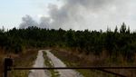 Kebakaran Hutan Georgia Meluas, Ribuan Hektare Terbakar