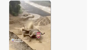 “THE ELEPHANT HAS FALLEN Dari puncak klasemen… langsung terjun bebas ke posisi 2. Manchester City: Terima kasih Haaland Arsenal: … ” Foto: X.com