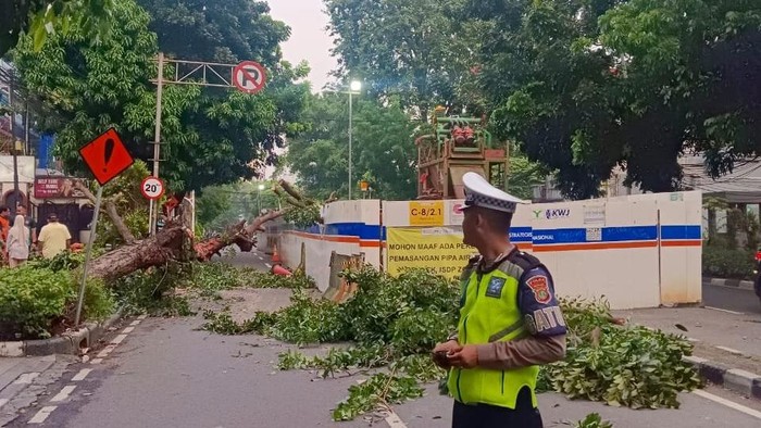 Pohon tumbang di Jalan K.H Wahid Hasyim, Jakarta Pusat. (Dok TMC Polda Metro).