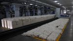 Produksi Benang Katun di Gujarat Menggeliat, Pekerja Sibuk Olah Kapas