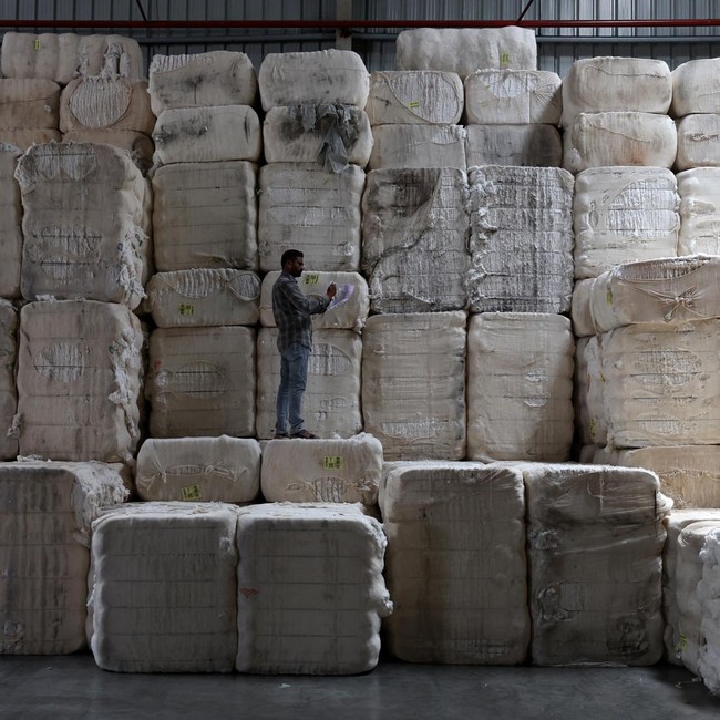 Produksi Benang Katun di Gujarat Menggeliat, Pekerja Sibuk Olah Kapas