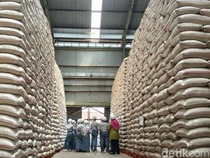 Stok Tembus 4,8 Juta Ton, Gudang Bulog Tak Muat Lagi Simpan Beras