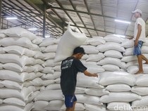 Bulog Baru Serap 190 Ribu Ton Jagung Petani, 19% dari Target