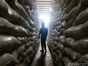 Beras Bulog Turun Mutu 380 Ribu Ton Bakal Dilelang Rp 11 Ribu/Kg