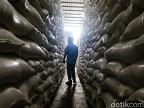 Stok Beras Melimpah, Bulog Tambah Kapasitas Gudang Jadi 7 Juta Ton
