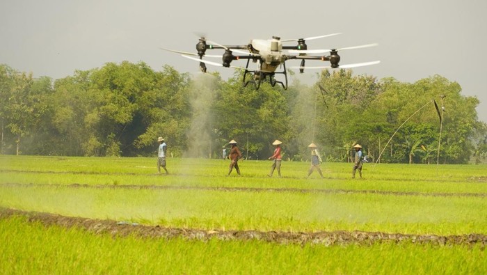 Uji coba drone semprot pupuk di Bojonegoro