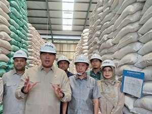 Wamentan Cek Gudang Bulog Sumsel Babel, Stok Beras Berlimpah
