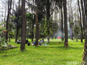 Menyesap Kesejukan di Bumi Perkemahan Pasir Batang Kuningan