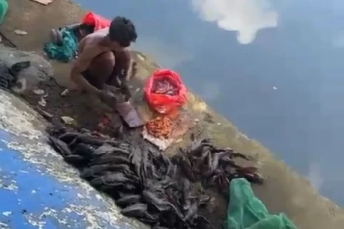 5 pria di Jakpus kepergok cari ikan sapu-sapu untuk dijual diamankan Satpol PP