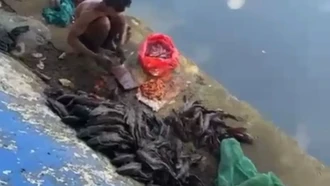 Cari Ikan Sapu-sapu Buat Dijual, 5 Pria di Jakpus Diamankan Satpol PP