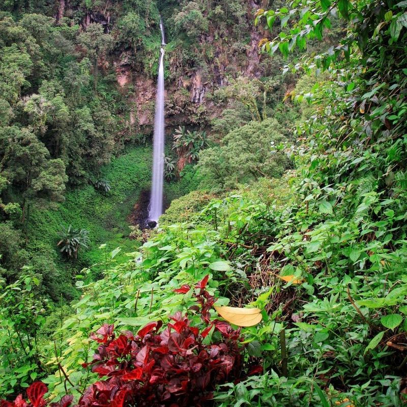 Air terjun Watu Ondo Coban Kembar Watu Ondo, terletak di Taman Hutan Raya Raden Soerjo, tepatnya di lereng Gunung Welirang