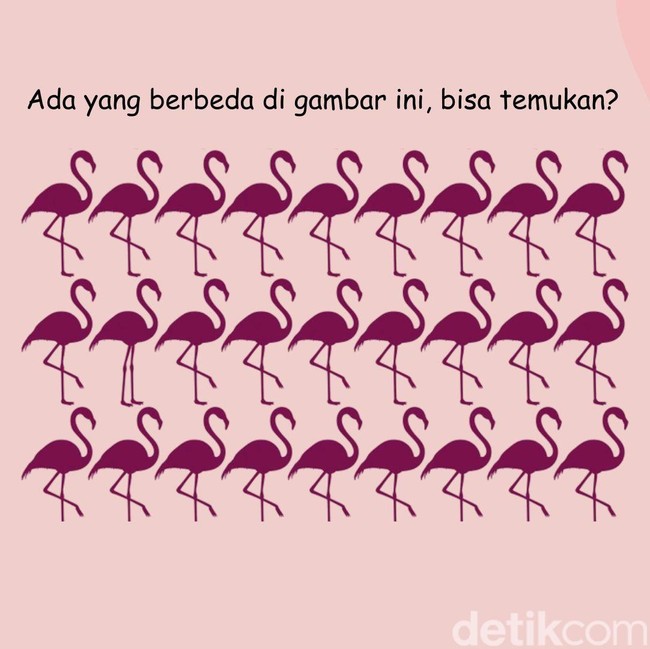 Uji Ketajaman Mata dan Fokus Lewat Teka-teki Gambar, Selesaikan dalam 5 Detik!